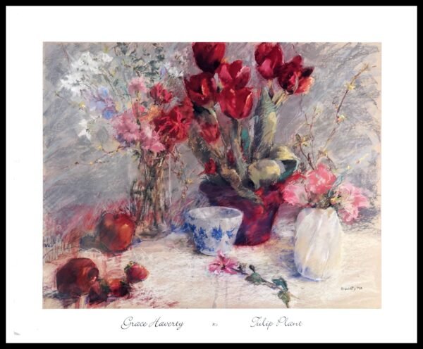 LLF8411 Red Tulip Plant